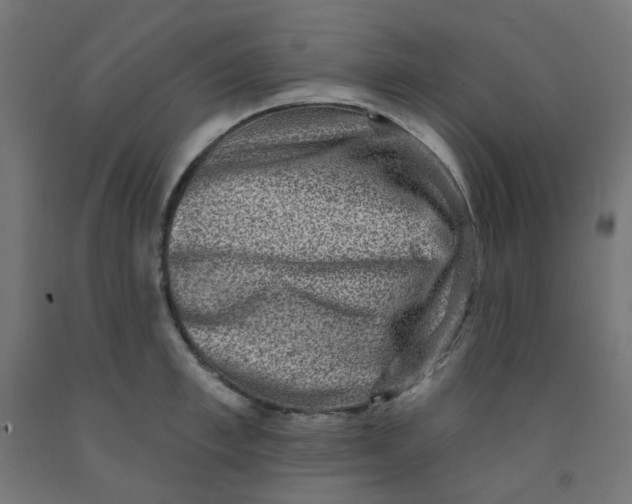 X0000091850997200710031637