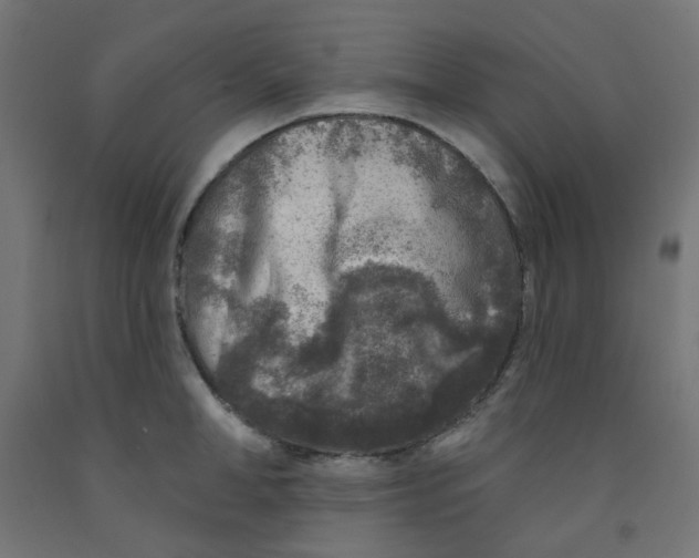 X0000091850998200710031637