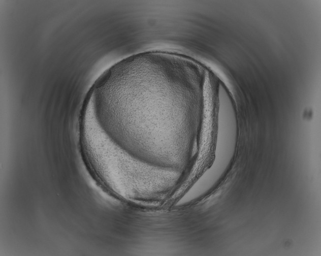 X0000091850999200710031637