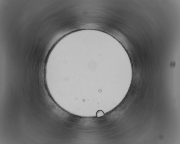 X0000091851000200710031637