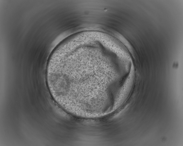 X0000091851002200710031637