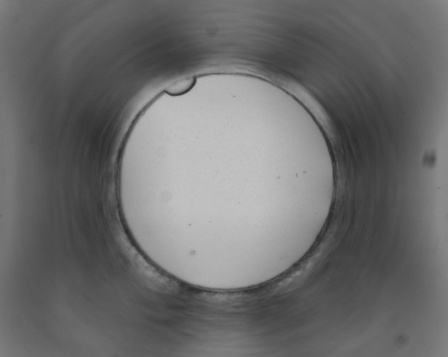 X0000091851004200710031637