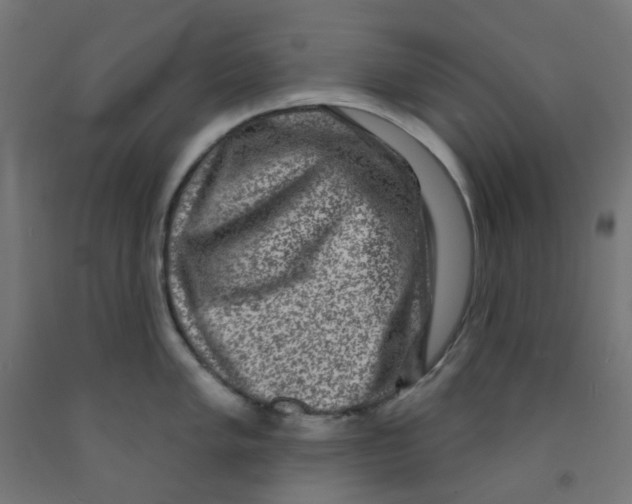 X0000091851005200710031637