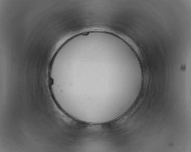 X0000091851006200710031637