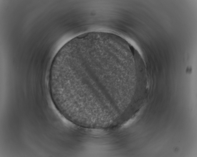 X0000091851007200710031637