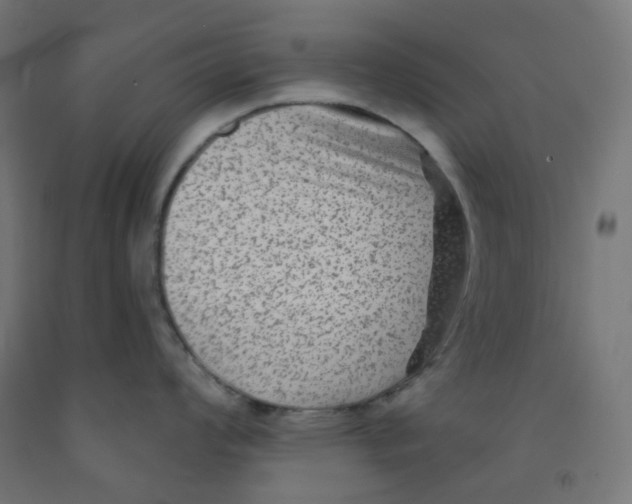 X0000091851008200710031637