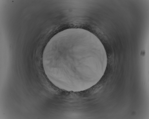 X0000091851009200710031636