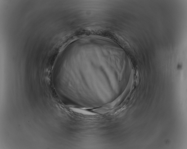 X0000091851010200710031636