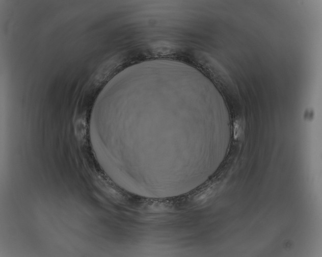 X0000091851011200710031636