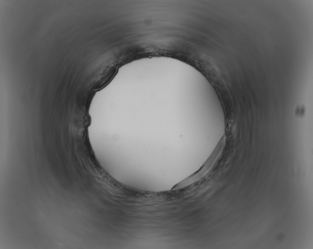 X0000091851012200710031636