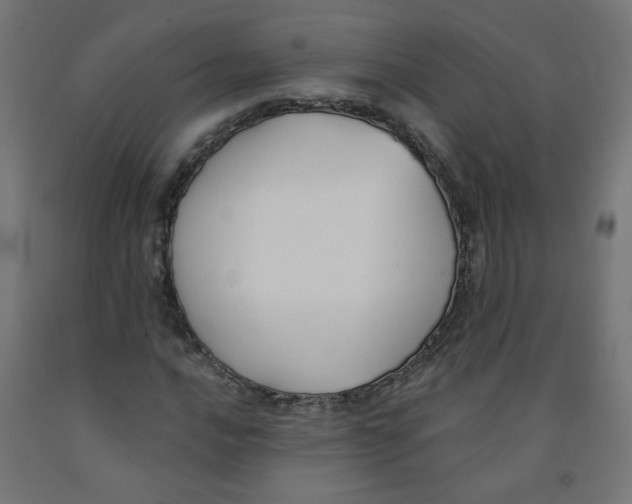 X0000091851016200710031636