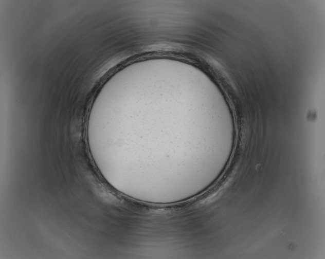 X0000091851017200710031636