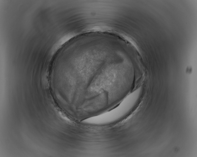 X0000091851018200710031636