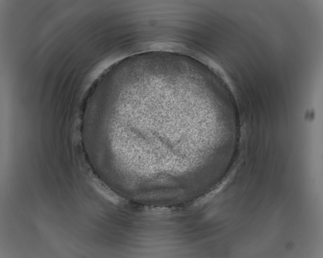 X0000091851019200710031636
