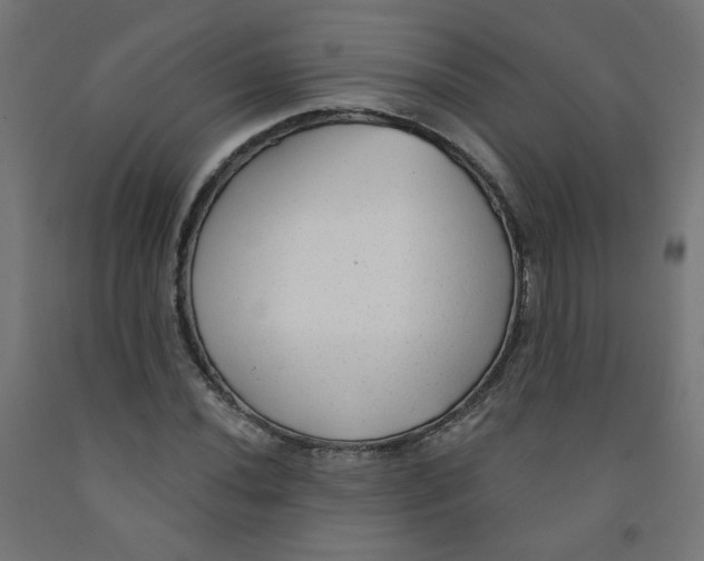 X0000091851020200710031636