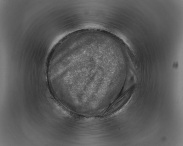 X0000091851022200710031636