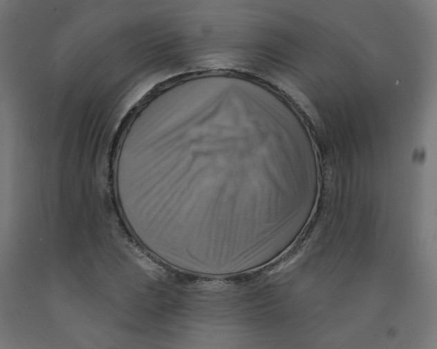 X0000091851023200710031636