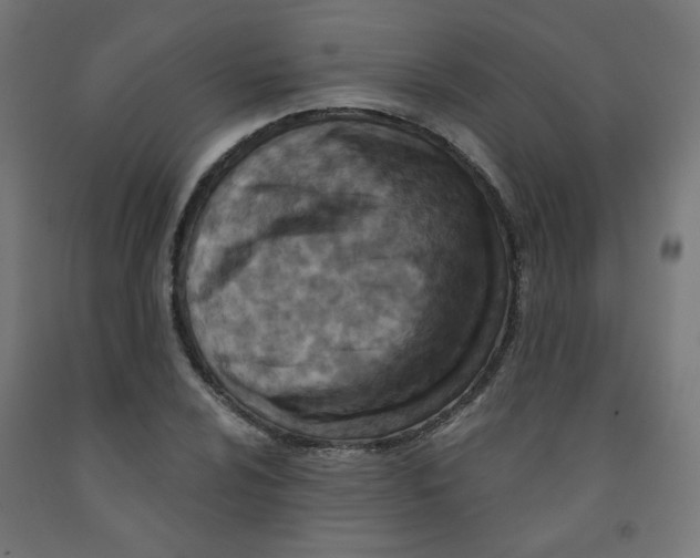 X0000091851024200710031636