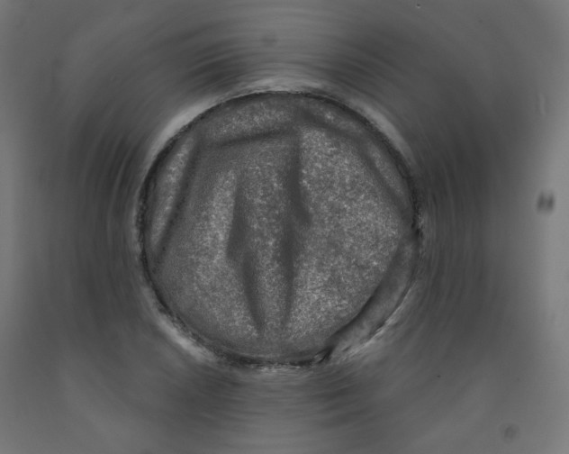 X0000091851026200710031636