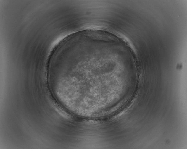 X0000091851027200710031636