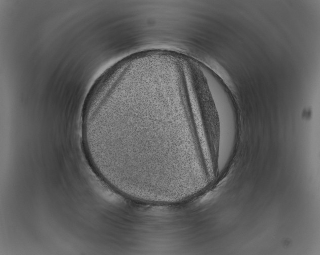 X0000091851028200710031636