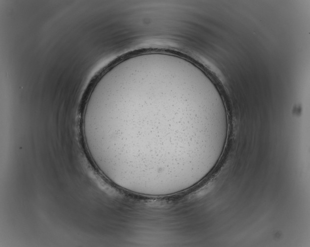 X0000091851029200710031636