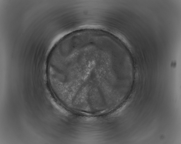 X0000091851030200710031636