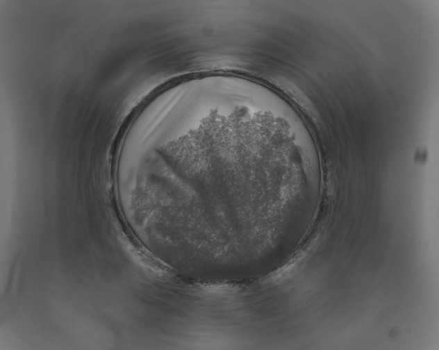 X0000091851031200710031637