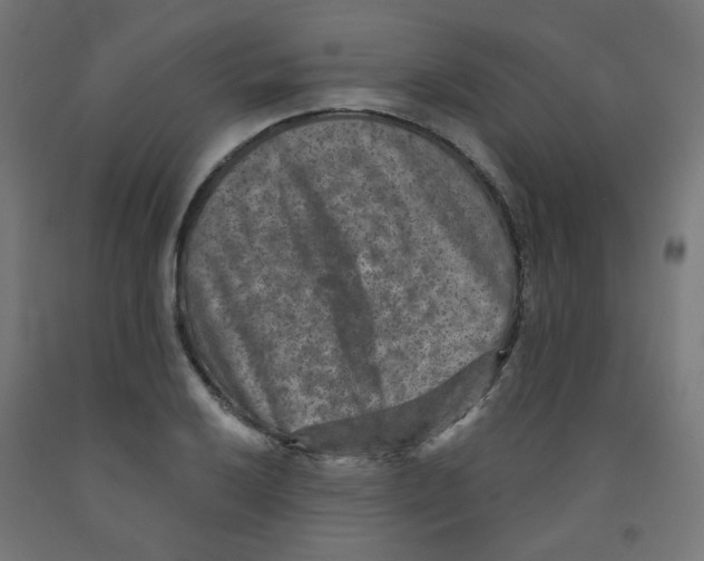 X0000091851032200710031637