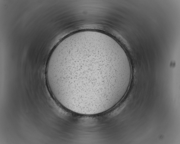 X0000091851033200710031637