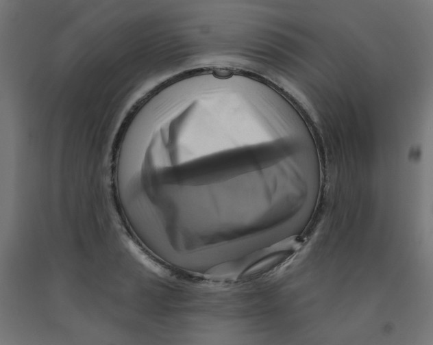 X0000091851037200710031637
