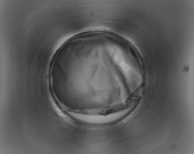 X0000091851038200710031637