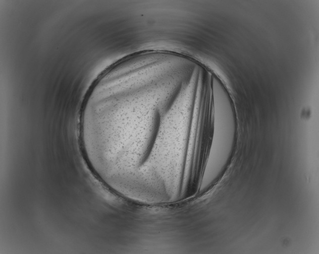 X0000091851040200710031637