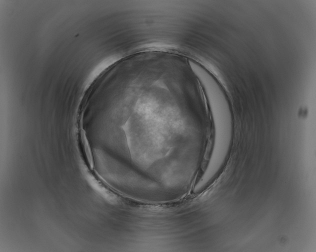 X0000091851042200710031637