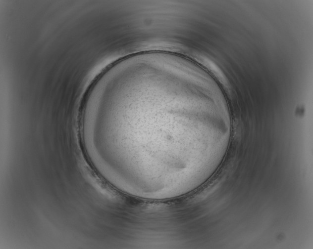 X0000091851043200710031637