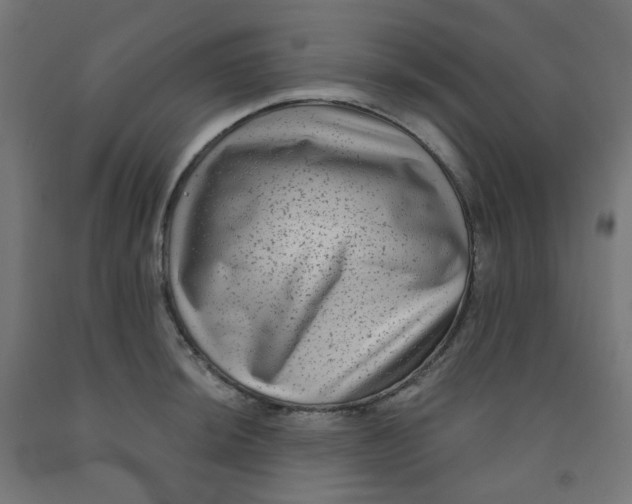 X0000091851044200710031637