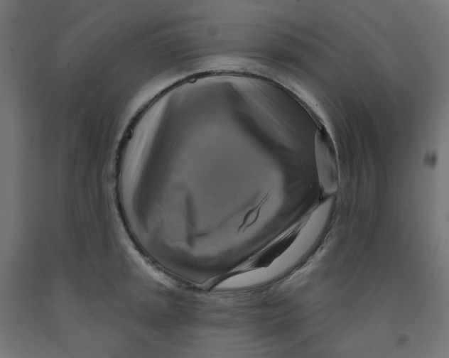 X0000091851045200710031637