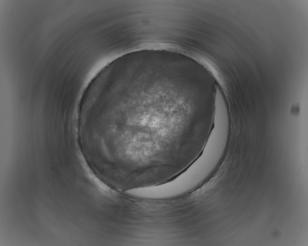 X0000091851046200710031637