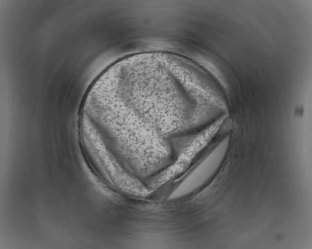 X0000091851047200710031637