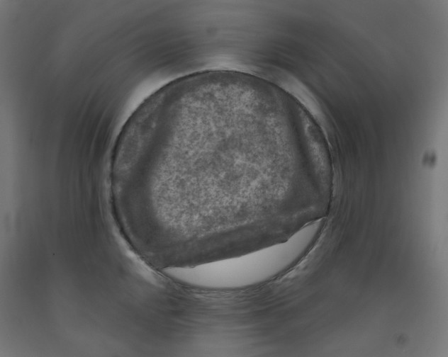 X0000091851048200710031637
