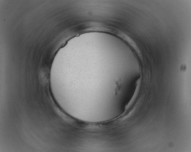 X0000091851049200710031637