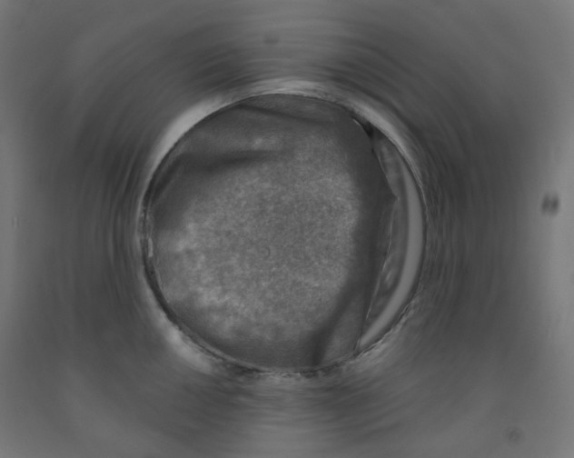 X0000091851050200710031637