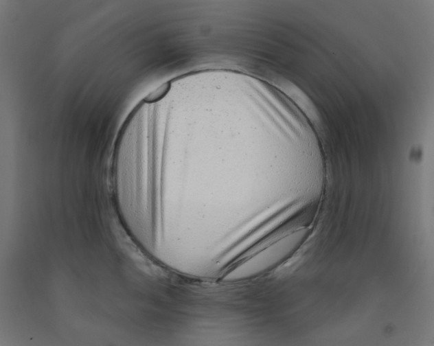 X0000091851052200710031637