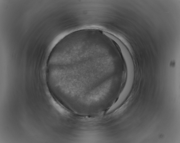 X0000091851054200710031637