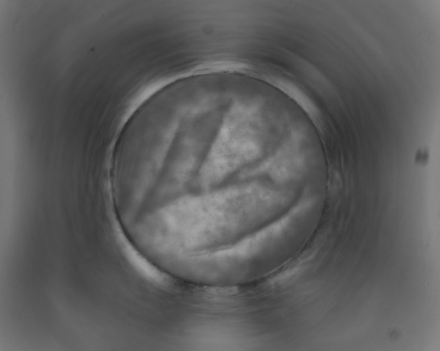 X0000091851055200710031637