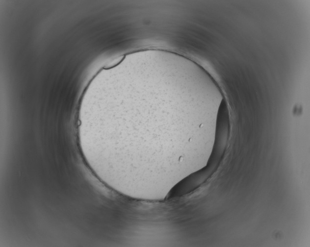 X0000091851056200710031637