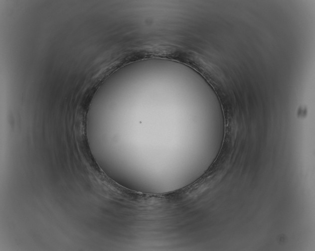 X0000091851058200710031636