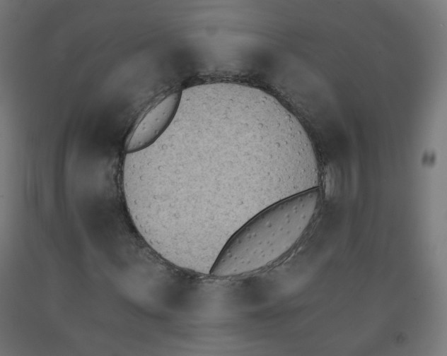 X0000091851059200710031636