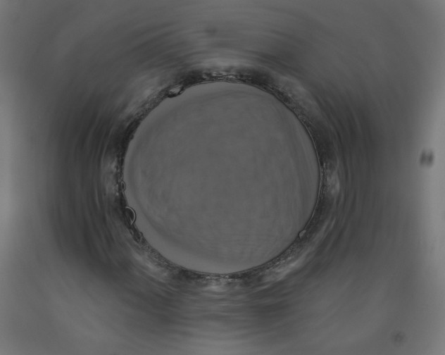 X0000091851060200710031636