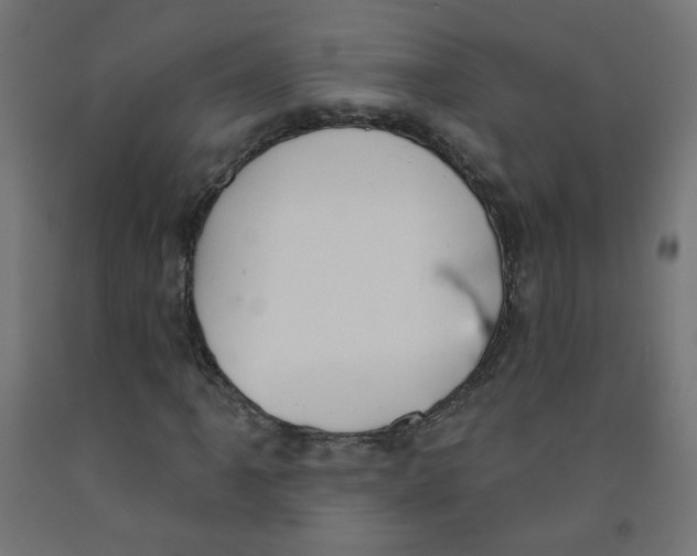 X0000091851061200710031636